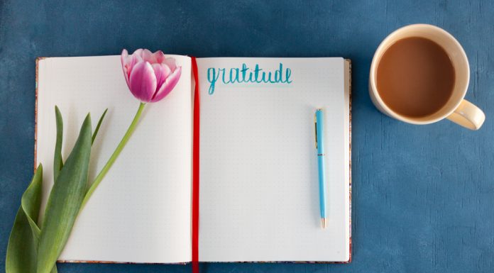 The Case for the Gratitude Journal: Top 5 Reasons to Start Today