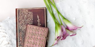 10 Quotes on Journalling That Will Make You Want to Start Writing Paperblanks Shakespeare, Sir Thomas More and River Cascade Alluvium journals with pink flowers on a white blanket.