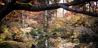 October 2019 Prompts for Fall!