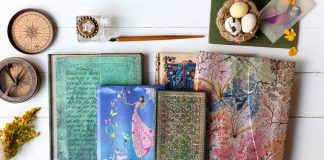 The First Signs of Spring Are Here with Our New Collection!