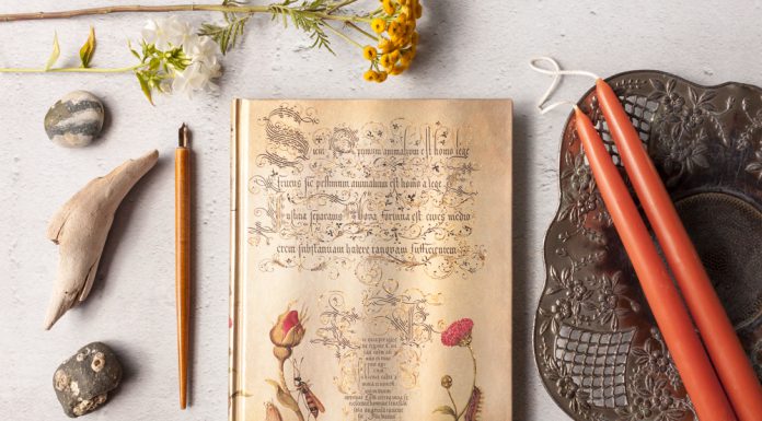 A Treasured Calligraphic Work Is Behind Our New Mira Botanica Series