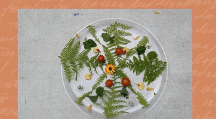 Community Highlight: YWCA Mindset Program