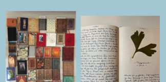 The Essence of Writing from Guest Contributor Julian Herzel