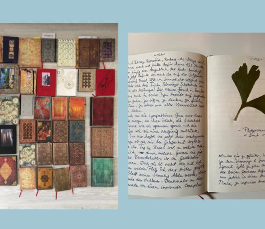 The Essence of Writing from Guest Contributor Julian Herzel