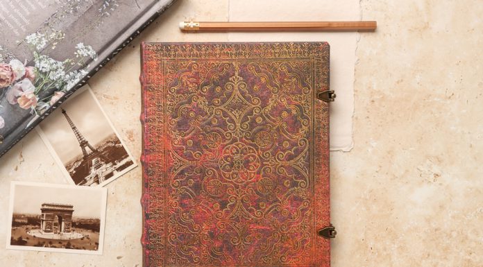 NaNoWriMo: Writer Interview with Elisabeth Bozem