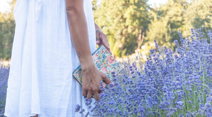 10 Quotes to Inspire Your Summer Plans