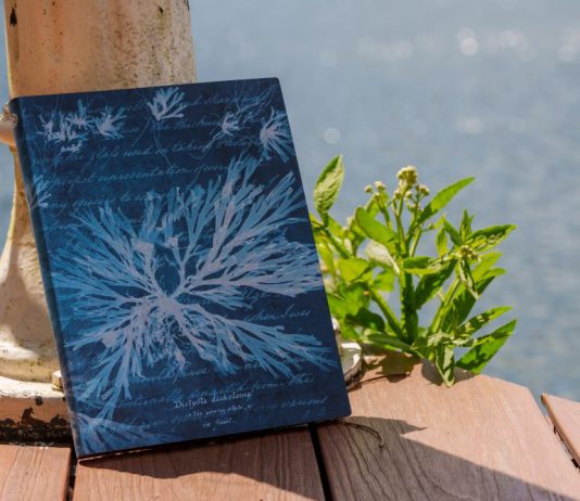 Introducing Anna Atkins’ Sea Flowers: A New Paperblanks Softcover Design Inspired by Cyanotype Art!